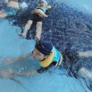 동광양키즈태권도 | 중마동 마동 누리태권도 친구들의 겨울나들이: 워터파크의 색다른 체험