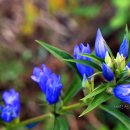 용담농장 이미지