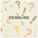 펠리스모텔 | 무창포해수욕장 바닷길 맛집부터 숙소 캠핑장까지 깔끔 정리