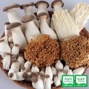 호산목장 이미지