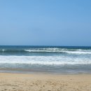 PLAGE(플라쥬) | 호이안 라플라쥬(La Plage restaurant) 메뉴 내돈내산 맛집 수영 선베드 이용 후기 안방비치