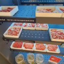 내동-5 | 부천 샤브샤브 맛집｜샤브올데이 내동점 방문 후기 &amp; 12/1~5 카톡 할인 이벤트