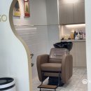 하쏘헤어 이미지