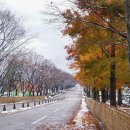 미사경정공원 이미지