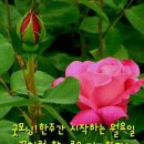 좋은하루 이미지