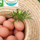 나은농장 이미지