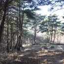 기내미재 이미지