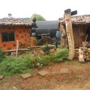 천하농장 이미지