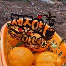 삼일산장 이미지