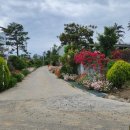 바다목장민박 이미지