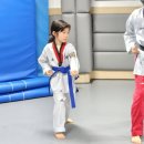 팡팡태권도장 이미지