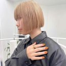 황금조명 네이버블로그