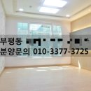 베네스트수 이미지