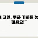 커브(curve) 이미지