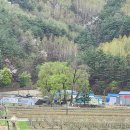 용산2리 이미지