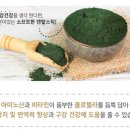 에이플러스 덴탈 네이버블로그