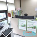 일등풍재 | 안양시 랜공사, 기존회선 철거 후 재포설 후기~!