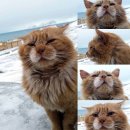 노르웨이세탁 이미지