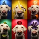 잠실동물병원 이미지