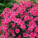 옥천민박 이미지