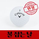 캘러웨이 쇼핑하우