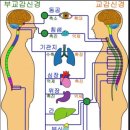 길항