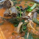 일품가마솥전골 | [갈마동맛집] 건더기 폭탄! 진하고 얼큰한 순대곱창전골 찐 후기 '가마솥보은순대' 🥘