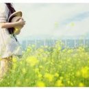 눈부신날에 이미지