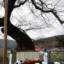 세간1구 네이버블로그