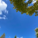 청암산오토캠핑장 이미지