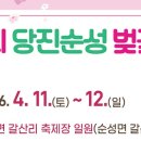 갈산리마을회관 | 당진 순성 벚꽃축제 2026 일정 총정리🌸 주말 가볼만한곳(애견동반)