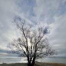 탑 | 겨울 독일 여행 추천｜프리드리히스하펜 보덴호수·전망탑·크리스마스 마켓 후기