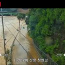 시골 지역 재난 상황 때마다 동물들을 못 풀어준 이유는 이미지