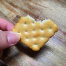 해태몰