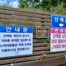 [강원도 정선군 병방산] 아리힐스 리조트 병방치 스카이워크 전망대