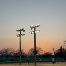 [망원 한강공원 테니스장] 클레이코트 무료레슨 &amp; 4번코트 후기