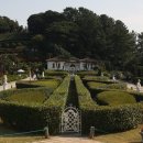 야자수 나라에서 만난 우리 이미지