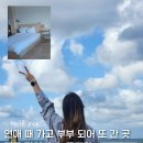 하늘스테이 | 제주 감성 숙소 하늘내힐링앤스테이 주차 비대면 체크인 옥탑방 뷰