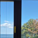 원스인대진(Once in Daejin) 이미지