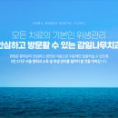 감일나무치과의원 네이버블로그