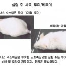 라온식품 이미지
