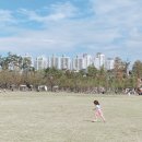 패밀리공원 이미지
