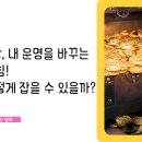 성공을 부르는 명리학 이미지