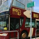 룰루할로