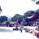 (주)동구림 | 099 월출산 도갑사