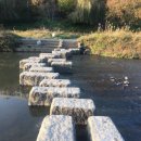 스킨앤이어동물병원 이미지