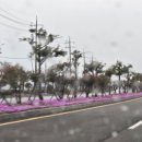 창암로 네이버블로그
