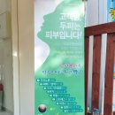 진헤어버스 네이버블로그
