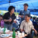 안정초등학교 이미지