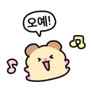바스코리아 이미지